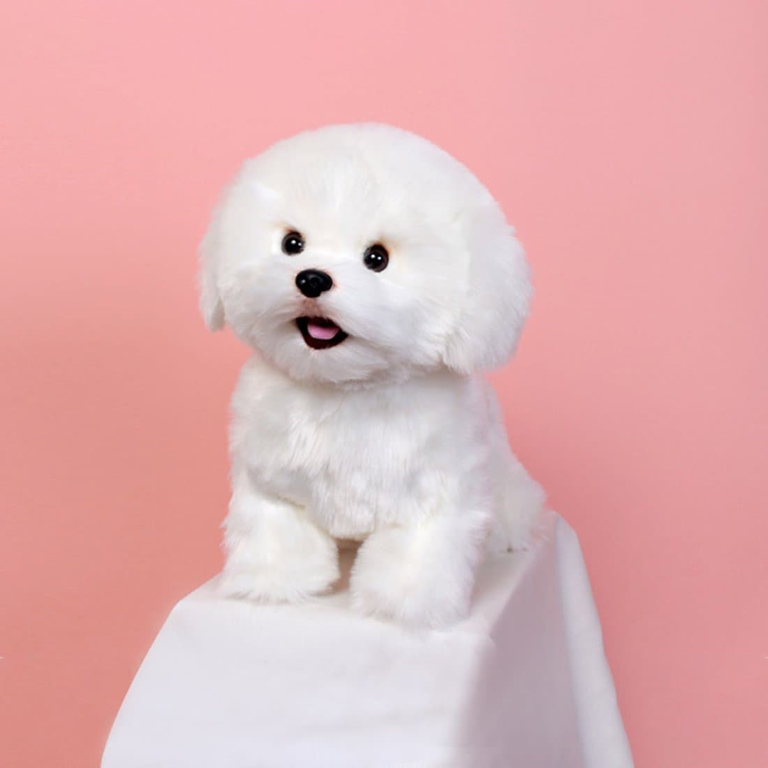 위더펫 리얼 강아지 인형 비숑 프리제, 신세계몰