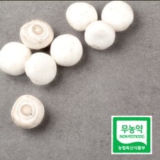 친환경 무농약 부여 꼬마 양송이 버섯 500g 조리용 친환경채소