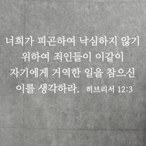 아트박스/단비디자인 히브리서 12장3절 성경 레터링