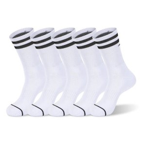 쿠션 크루 5족