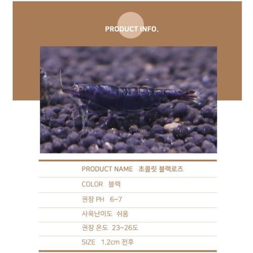상품이미지2