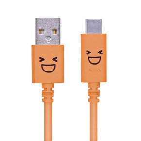 엘레콤 USB 타입-A - 타입-C 15W 3A USB2.0 1.2m (아이폰15 MPA-FAC12CDR 고속 충전 케이블)