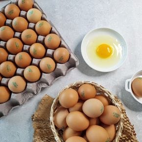[TC] HACCP 인증 신선계란 왕란 30구 2판[35041034]