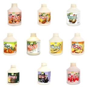 차그림 농축과일원액 포도 원액 850ml