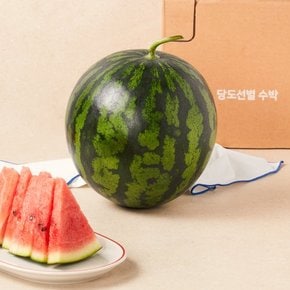 당도선별 완숙 수박 5kg미만