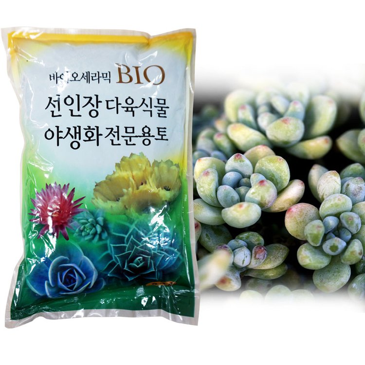 다육이 흙 2.0L 다육식물 분갈이흙 선인장 야생화 흙, 믿고 사는 즐거움 Ssg.Com