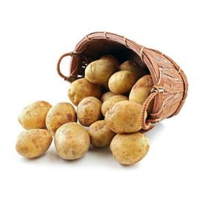 포슬포슬 맛있는 감자 5kg 대[36130946]