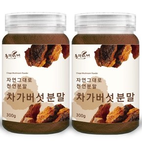 동의한재 최상품 러시아 차가버섯 분말 가루 300g x 2개