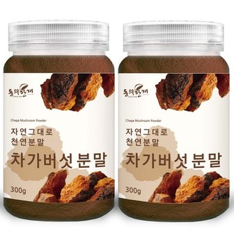  동의한재 최상품 러시아 차가버섯 분말 가루 300g x 2개