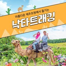 제주 낙타트래킹+먹이주기 체험 이용권