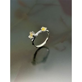 봄이와도_wood Ring