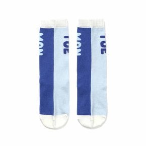 위클리 롱레귤러삭스 (84129-810-01)