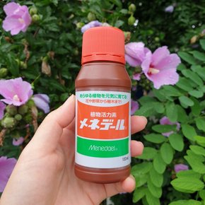 메네델 100ml 뿌리 삽목 발근제 발근촉진제 식물 수경재배 활력제 다육이 소나무 메데넬