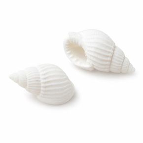 조개껍질5 소라b 100g