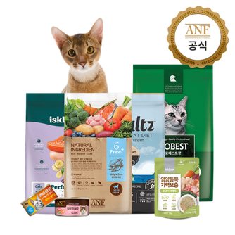 검색결과 >고양이 사료, 이마트몰, 당신과 가장 가까운 이마트” style=”width:100%” title=”검색결과 >고양이 사료, 이마트몰, 당신과 가장 가까운 이마트”><figcaption>검색결과 >고양이 사료, 이마트몰, 당신과 가장 가까운 이마트</figcaption></figure>
</div>
<p>Article link: <strong><a href=