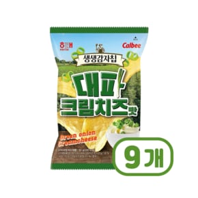 생생감자칩 대파크림치즈맛 봉지스낵 60g x 9개