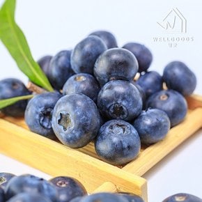 [웰굿] 당일수확 국내산 영동 생 블루베리 500g(특대,16mm이상)