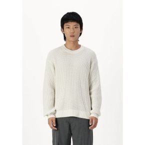 5301789 Abercrombie  Fitch DYED ACID - Jumper turtledove