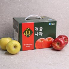 장수상회 [오늘신선] 청송네자매 경북 청송 부사+시나노골드 사과 혼합 선물세트 2.5kg 중대과(5-7과 내외)