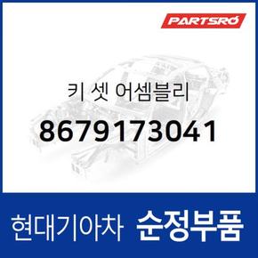 키 셋 (8679173041)  메가트럭, 8톤 트럭, 18톤 트럭 6X2, 뉴 파워트럭 4X2, 11톤 트럭, 뉴 파워트럭 6X2, 뉴 파워트럭 6X4, 23톤 트럭, 뉴 파워트럭 8X4/10X4, 트라고 6X4, 메가 트럭 특장, 뉴 파워트럭 특장 4X2, 뉴 파워트럭 특장 6X4