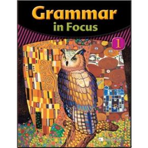 Grammar in Focus 그래머 인 포커스 1