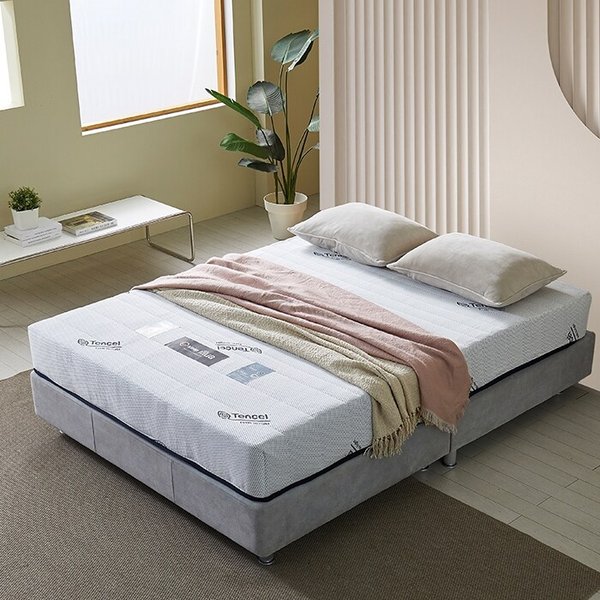 보루네오 엘리브 웬디 22cm 퀸 매트리스 HR폼 ib077