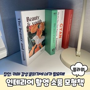 인테리어 촬영 소품 가짜 모형책 플라워 (WC3EBC0)