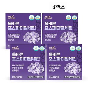 포스파티딜세린 은행잎추출물 PS유산균 알약 캡슐 뇌성분 영양제 뇌건강 플라보놀배당체 효능 식약청인증