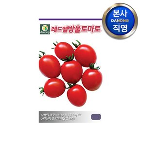 레드벨대추 방울 토마토 씨앗 20립 . 야채 빨간 채소 씨 종자 주말 농장 텃밭