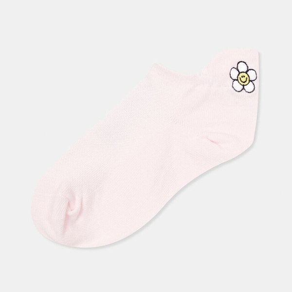 확대된 대표 1