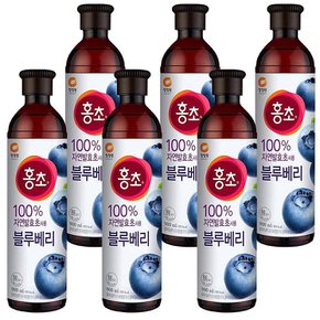 블루베리 홍초 대상 청정원 900ml x 6개입 복분자
