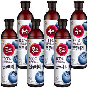 블루베리 홍초 대상 청정원 900ml x 6개입 복분자