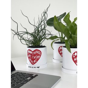 굿하트 - 레터링 팟 (10plants)
