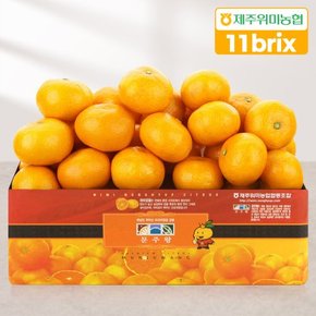 [9/16 순차출고] [제주위미농협] 당도선별 11brix 신선한 하우스감귤 2.5kg