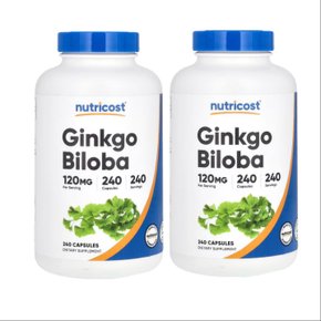 징코 빌로바 은행나무 추출물 120mg 240캡슐 X 2통