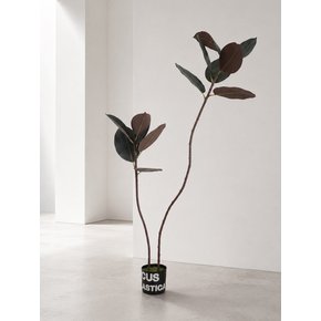 멜라니 고무나무 (Ficus elastica) 조화 대형