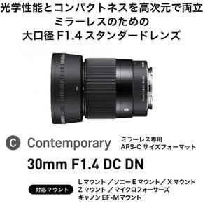 시그마 30mm F1.4 DC DN 렌즈, 소니 E-마운트, APS-C