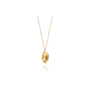 Fluid frame gold Necklace