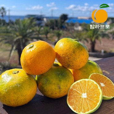 명가일품 [탐라브로] 제주 노지 감귤 특상품 2kg (중대과/L-2L)