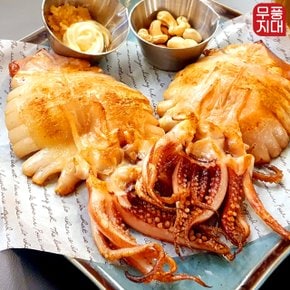 반건조 오징어 500g (5미)