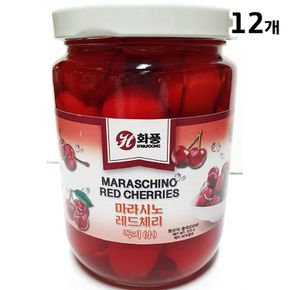 체리(적 꼭지 화풍 400g) X12