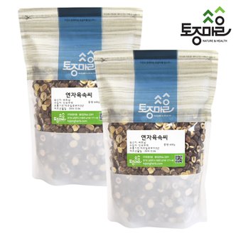 토종마을 베트남 연자육(연꽃씨속씨) 600g X 2개