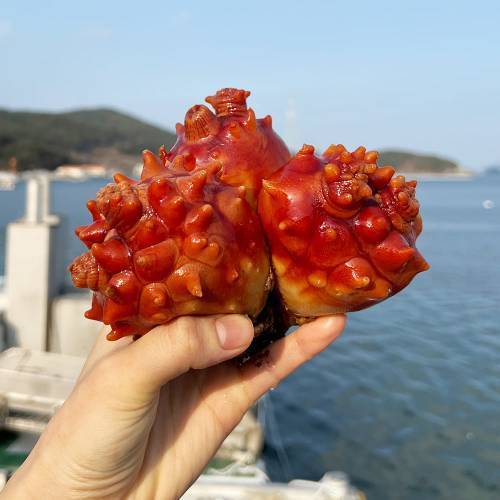 상품이미지2