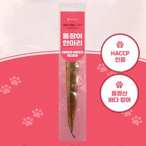 강아지 애견 통장어 보양 간식 수제 간식 10g