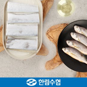 [제주 한림수협] 제주 갈치&굴비 특선 선물세트 1호 (은갈치 300g x 2팩+굴비700g(10미) x 2팩) / 부직포가방_국내산_냉동비축품