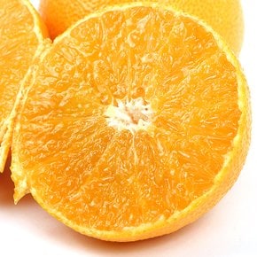 새콤달콤 제주 황금향 1kg 대과(2-4과 내외) 가정용