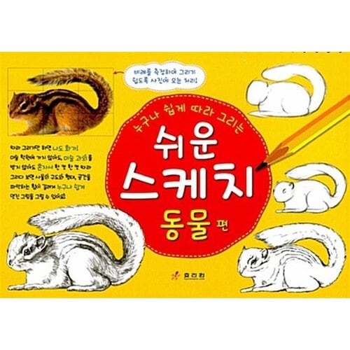 대표이미지