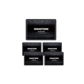 Gigastone 내장 SSD 256GB 5팩 Game Pro 2.5인치 3D 낸