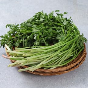 돌미나리 4kg내외