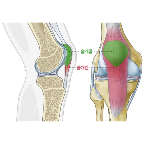 상품이미지5